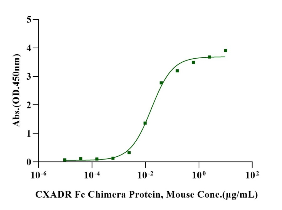 CXADR/CAR Fc Chimera Protein, Mouse