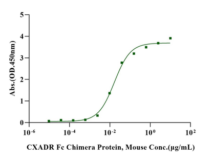 CXADR/CAR Fc Chimera Protein, Mouse