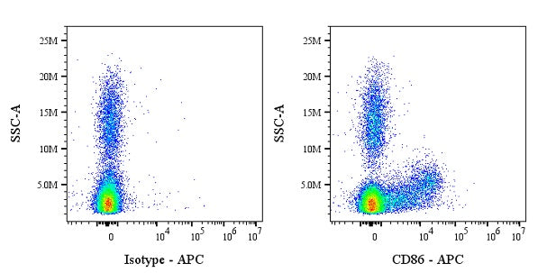 APC Mouse Anti-Human/ Monkey CD86 Antibody (IT2.2)