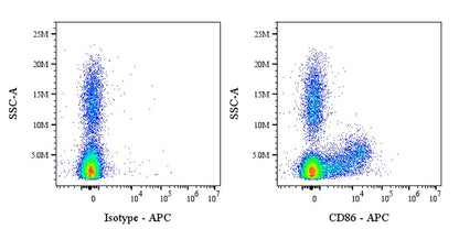 APC Mouse Anti-Human/ Monkey CD86 Antibody (IT2.2)