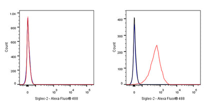 Siglec-2/CD22 Mouse mAb (S-565-1)