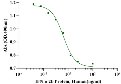 IFN-α 2b Protein, Human