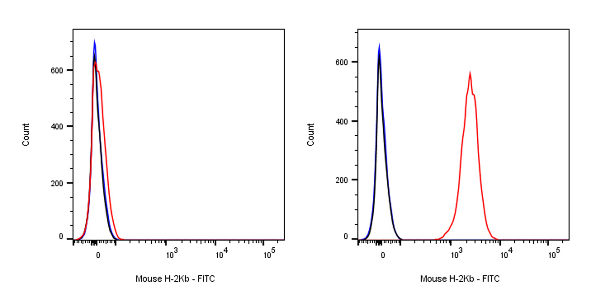 FITC Mouse Anti-Mouse H-2Kb Antibody (AF6-88.5)