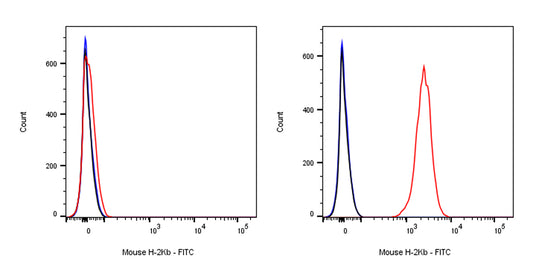 FITC Mouse Anti-Mouse H-2Kb Antibody (AF6-88.5)