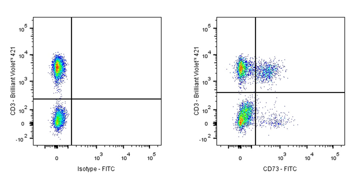 FITC Mouse Anti-Human CD73 Antibody (S-715-115)