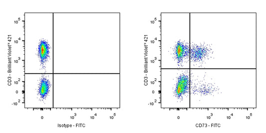 FITC Mouse Anti-Human CD73 Antibody (S-715-115)
