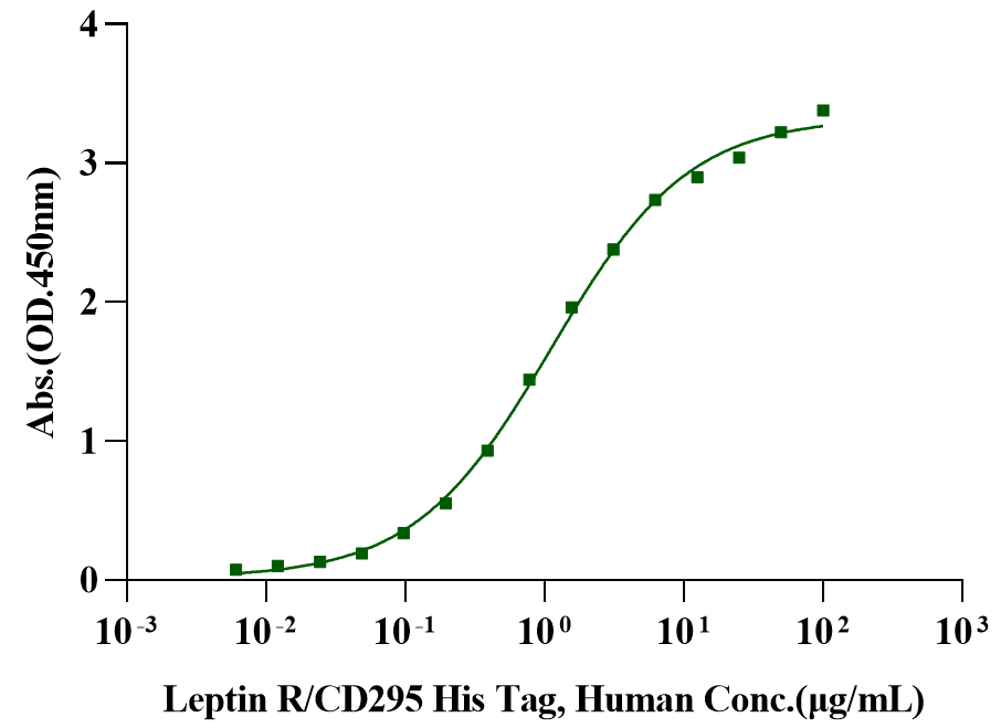 Leptin Protein, Human