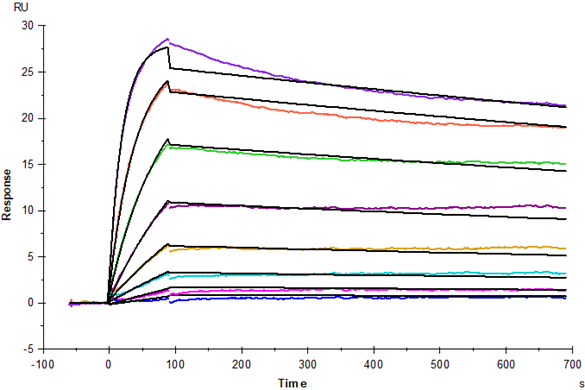 TNF-α Protein, Mouse
