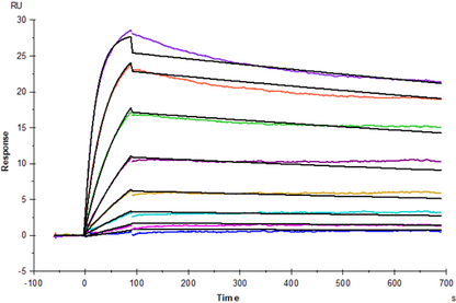 TNF-α Protein, Mouse