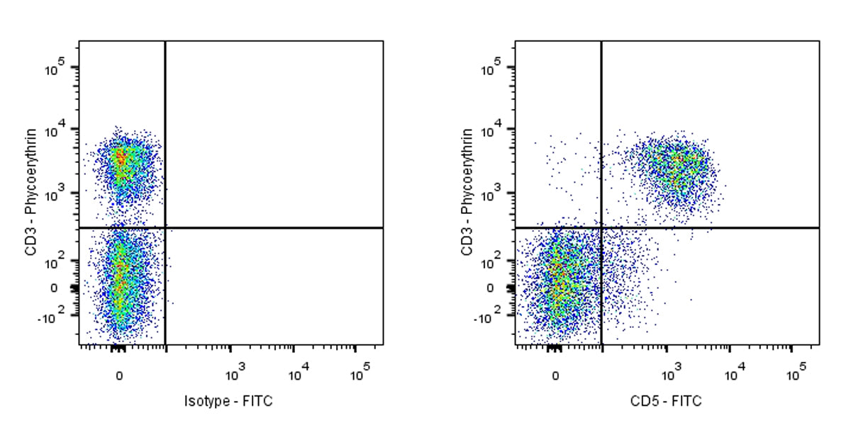 FITC Rat Anti-Mouse CD5 Antibody (53-7.3)