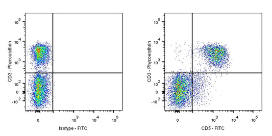 FITC Rat Anti-Mouse CD5 Antibody (53-7.3)