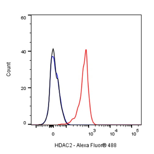 HDAC2 Recombinant Rabbit mAb (S-1474-27)