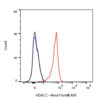 HDAC2 Recombinant Rabbit mAb (S-1474-27)