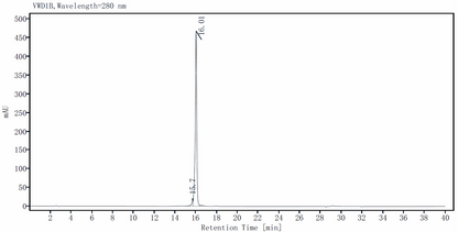GDF-2/BMP-9 Protein, Human