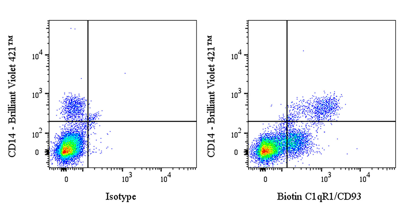 Biotin Mouse Anti-Human C1qR1/CD93 Antibody (VIMD)