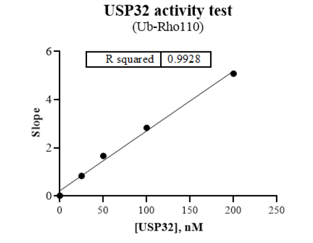 USP32 Protein