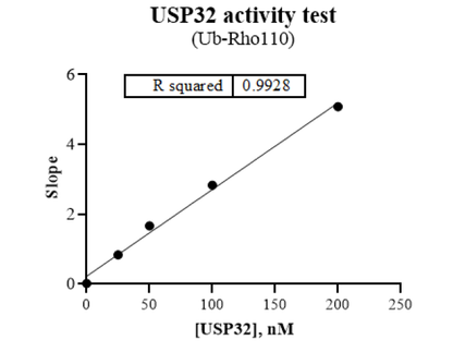 USP32 Protein