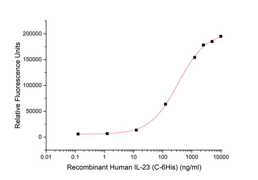 IL-23 Protein, Human