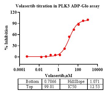 PLK3 Protein