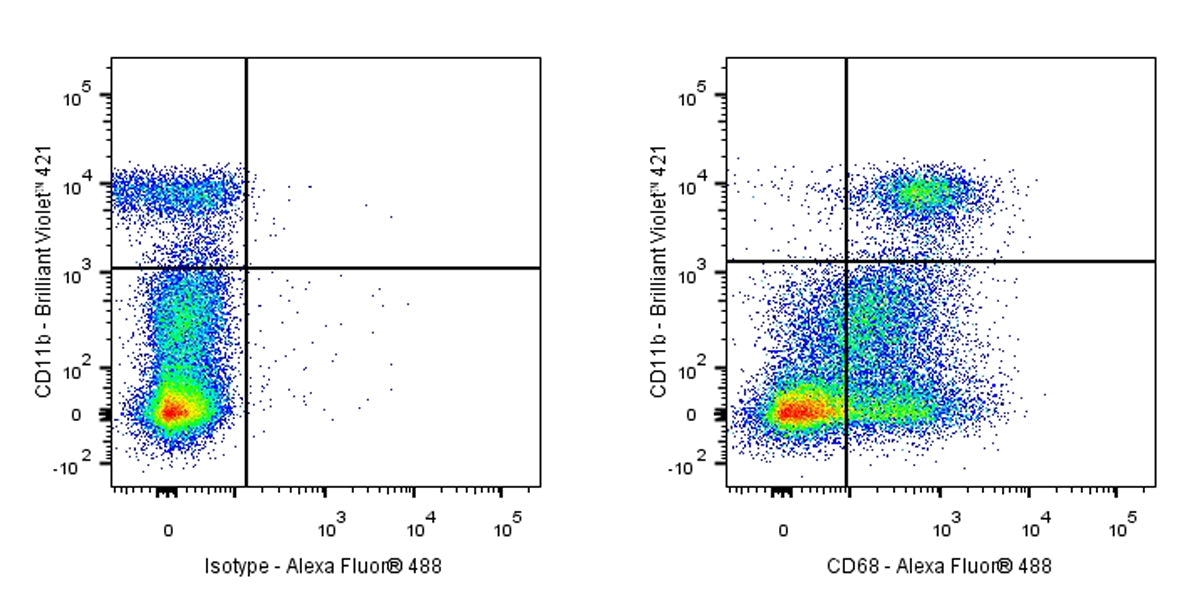 Mouse Anti-Human CD68 Antibody (Y1/82A)