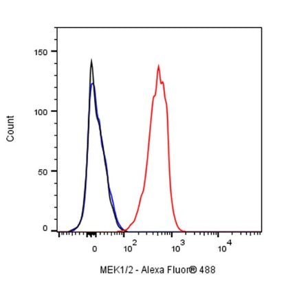 MEK1/2 Recombinant Rabbit mAb (S-834-101)
