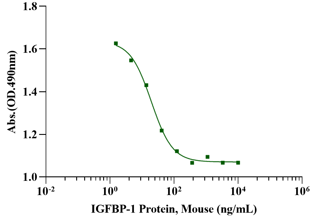 IGFBP-1 Protein, Mouse