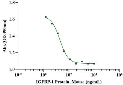 IGFBP-1 Protein, Mouse
