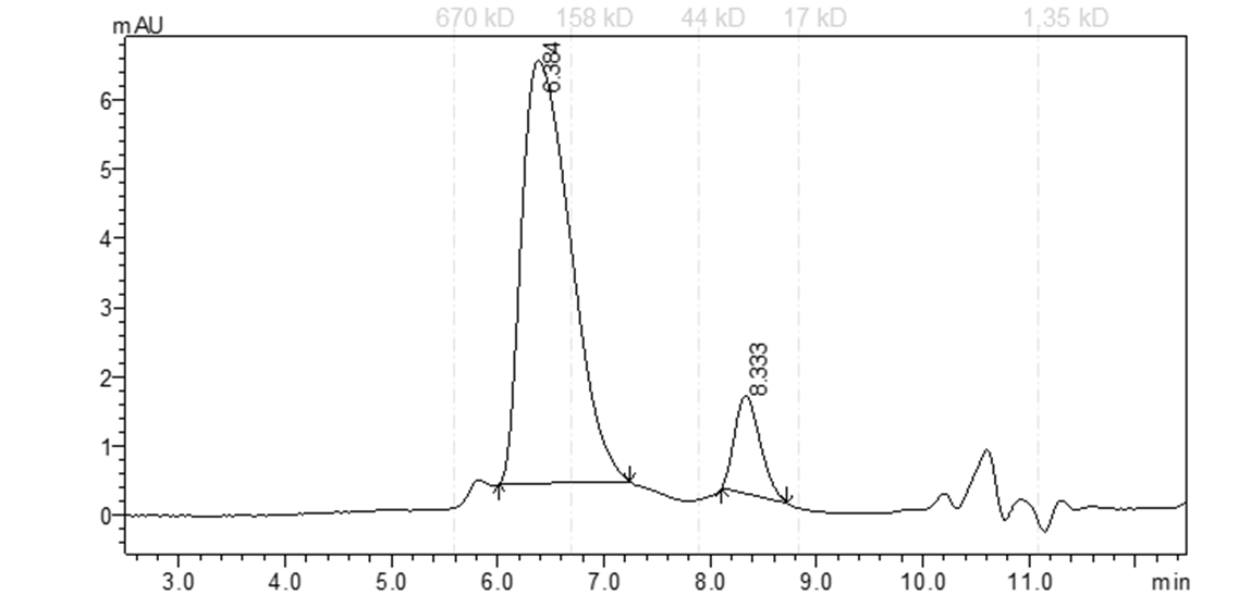 BTK[C481S] Protein