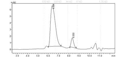 BTK[C481S] Protein