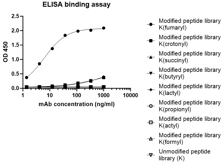 S-RMabMixTM Fumaryllysine Rabbit mAb