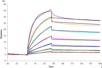 M-CSFR His Tag Protein, Mouse
