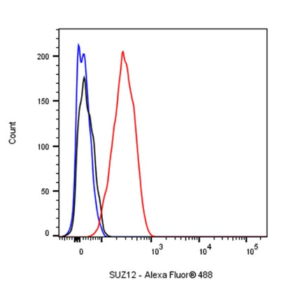 SUZ12 Recombinant Rabbit mAb (S-1689-3)