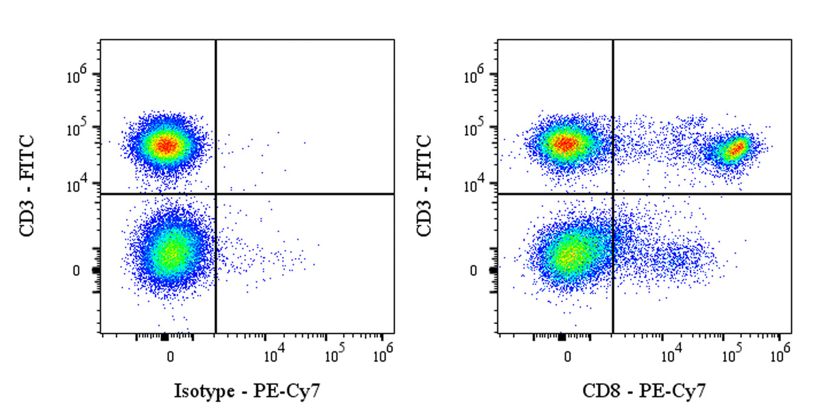 PE-Cy7 Mouse Anti-Human CD8 Antibody (S-R533)