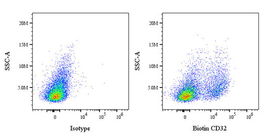 Biotin Mouse Anti-Rat CD32 Antibody (S-4246)