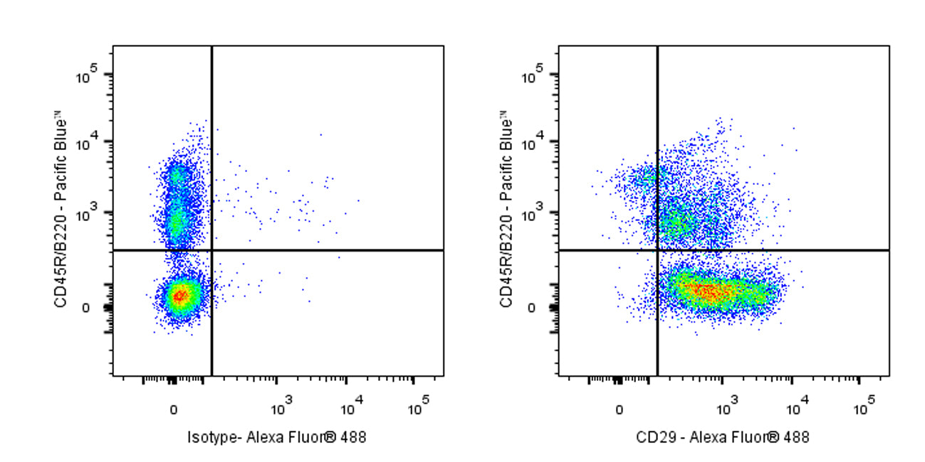 Alexa Fluor® 488 Armenian hamster Anti-Mouse/Rat CD29 Antibody (HMB1-1)