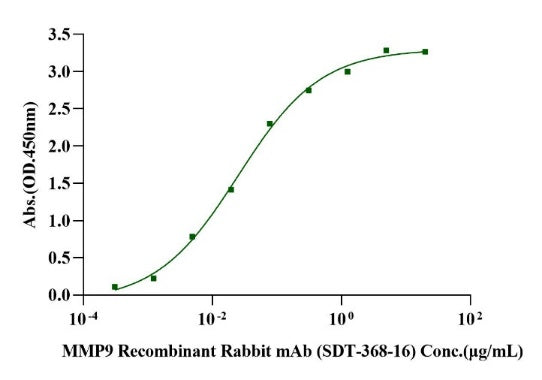 Biotinylated MMP-9 His&Avi Tag Protein, Human
