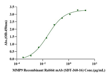 Biotinylated MMP-9 His&Avi Tag Protein, Human