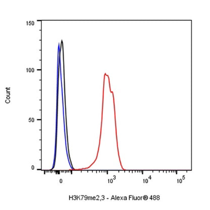 Histone H3 (di+tri methyl K79) Recombinant Rabbit mAb (S-854-48)