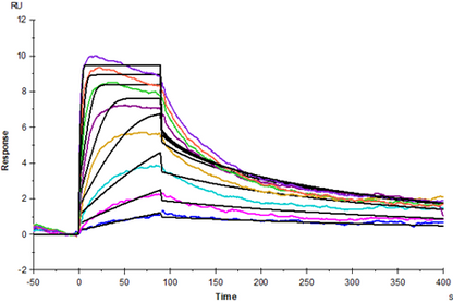 TNF-α Protein, Human