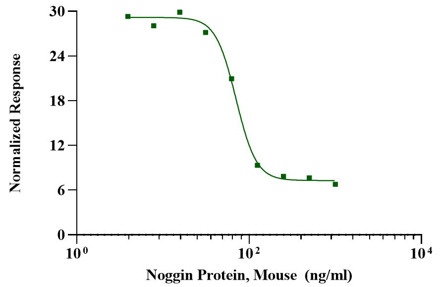 Noggin Protein, Mouse