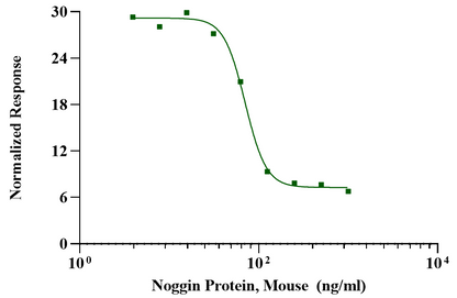 Noggin Protein, Mouse