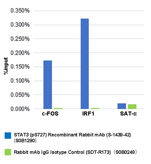 Phospho-Stat3 (Ser727) Recombinant Rabbit mAb (S-1439-42)