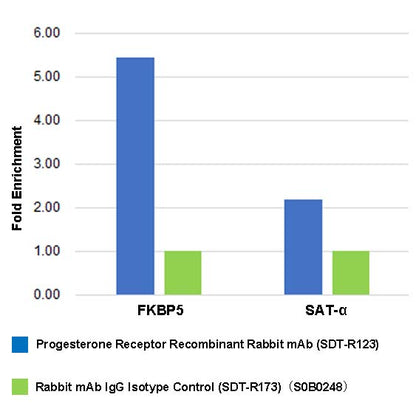 Progesterone Receptor Recombinant Rabbit mAb (SDT-R123)