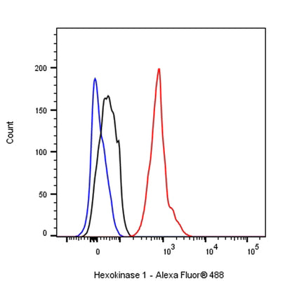 HexokinaseⅠRecombinant Rabbit mAb (S-868-113)