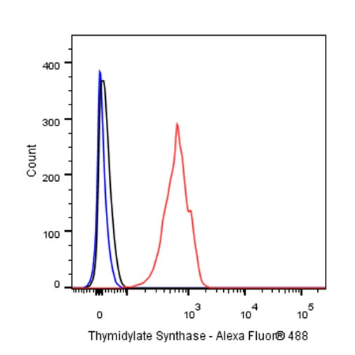 Thymidylate Synthase Recombinant Rabbit mAb (S-753-7)