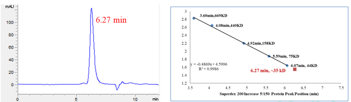 JNK1 (L208I, V219I, C220K, H221G, K222G, I223V, 
R228T, Y230H) Protein, Human