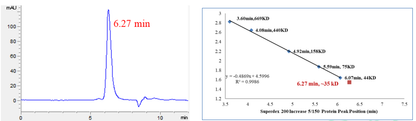 JNK1 (L208I, V219I, C220K, H221G, K222G, I223V, 
R228T, Y230H) Protein, Human