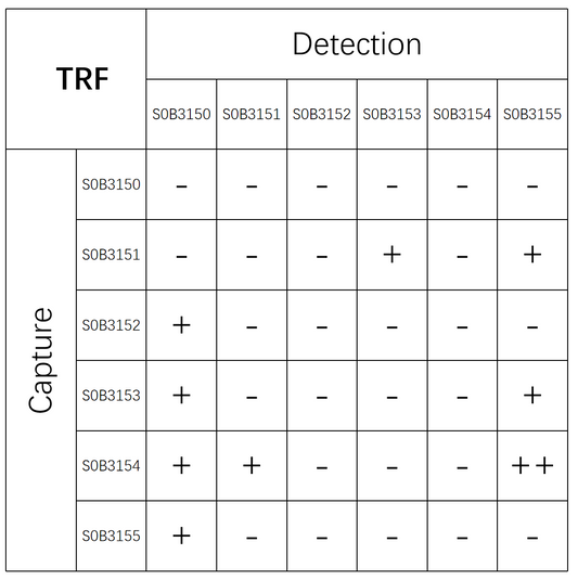 TRF Recombinant Rabbit mAb (SDT-613-39)