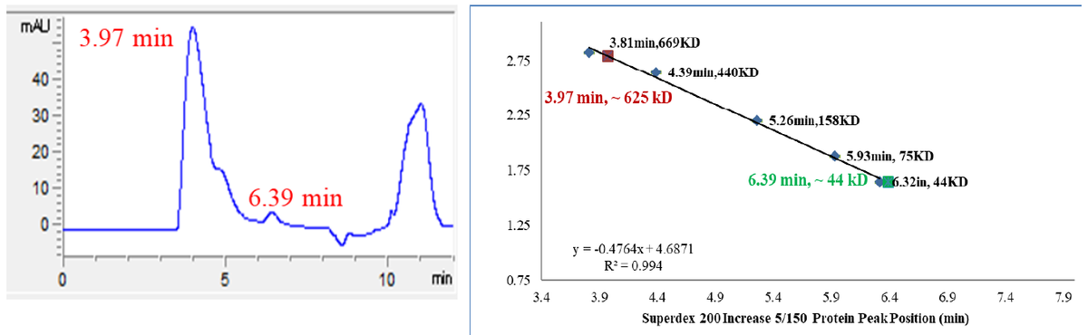 SBK3 His&GST Tag Protein, Human