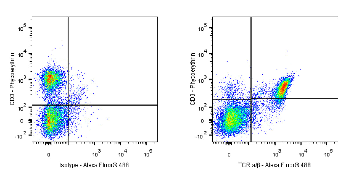 Mouse Anti-Rat TCR α/β Antibody (R73)